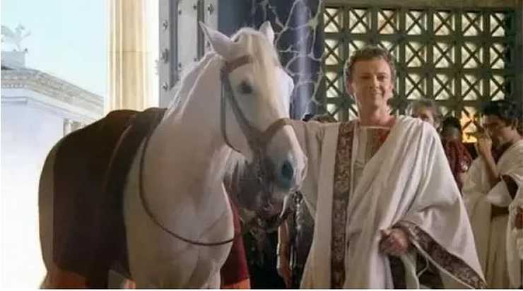 Caligola e il suo cavallo
