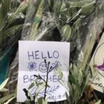 strage Christchurch