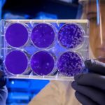 Istituto-Superiore-Sanità-coronavirus
