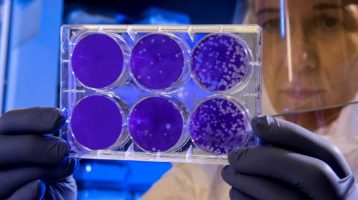 Istituto-Superiore-Sanità-coronavirus