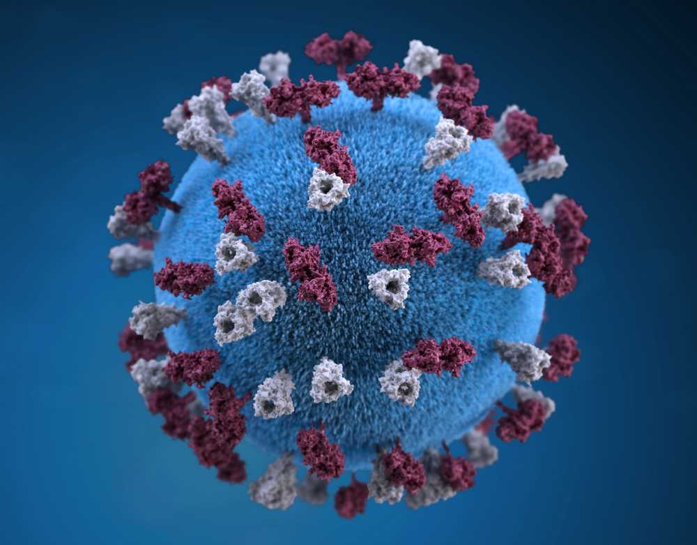 coronavirus - covid-19