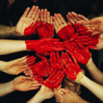 solidarieta