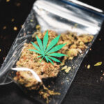 cannabis