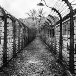 Auschwitz-campi-sorveglianza-massa