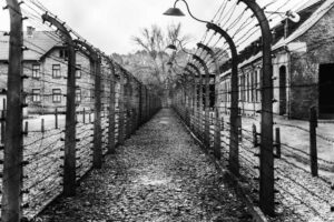 Auschwitz-campi-sorveglianza-massa
