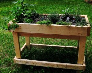 petit-potager