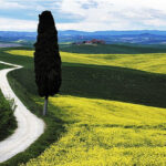 Paesaggio-campagne