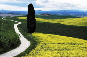 Paesaggio-campagne